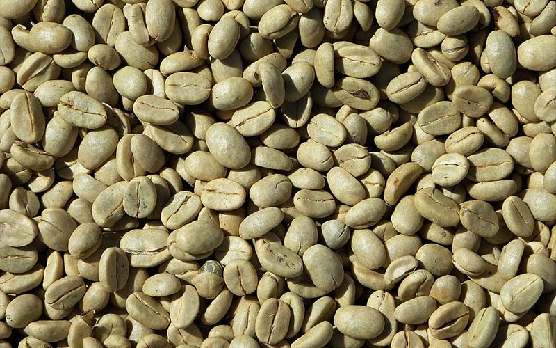 Is Green Coffee Effective For Weight Loss?