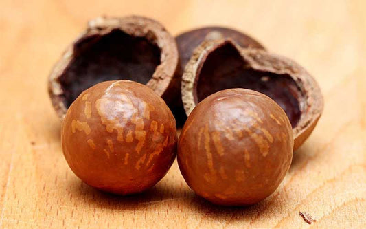 The Amazing Benefits of Macadamia Nuts