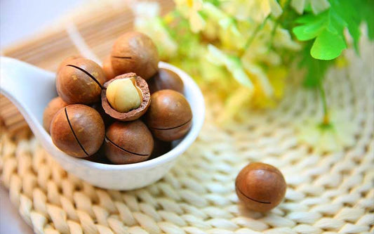 What Are the Benefits of Macadamia Nuts?